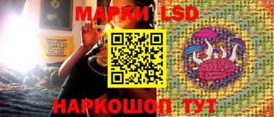 гидропоника Волжский