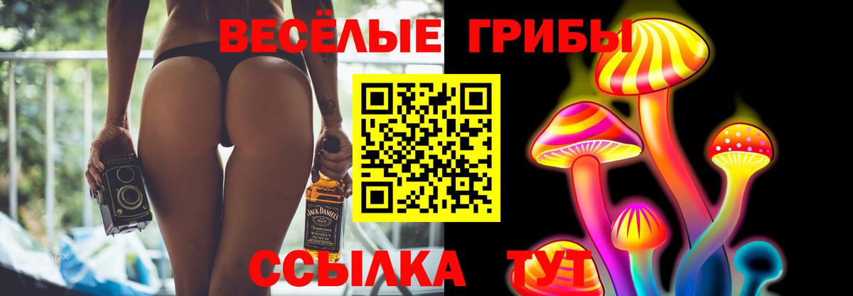 купить наркоту  Вход с VPN  Новотроицк  Галлюциногенные грибы Cubensis 